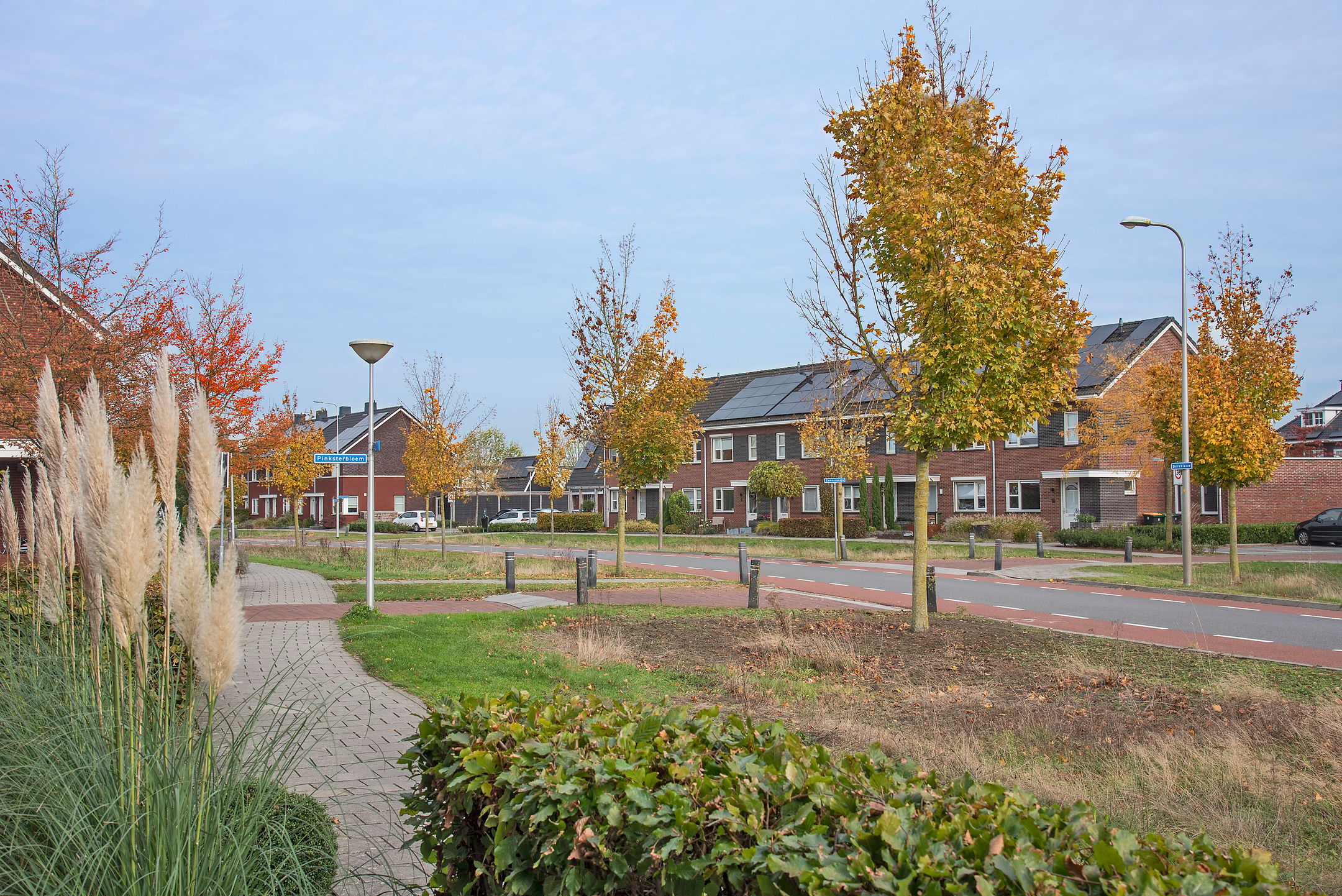Photo 3 of Bereklauw 3