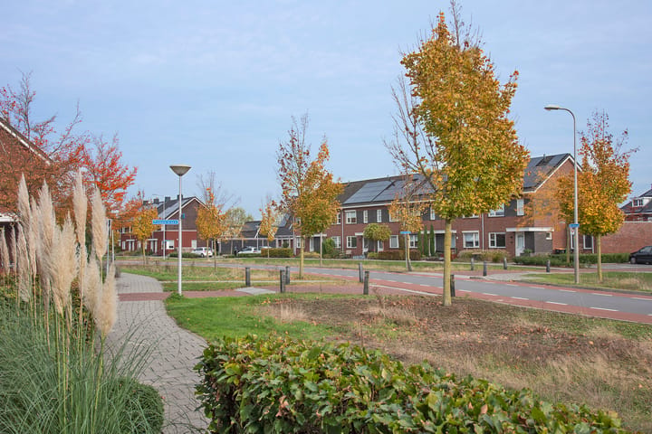 Foto 3 van Bereklauw 3