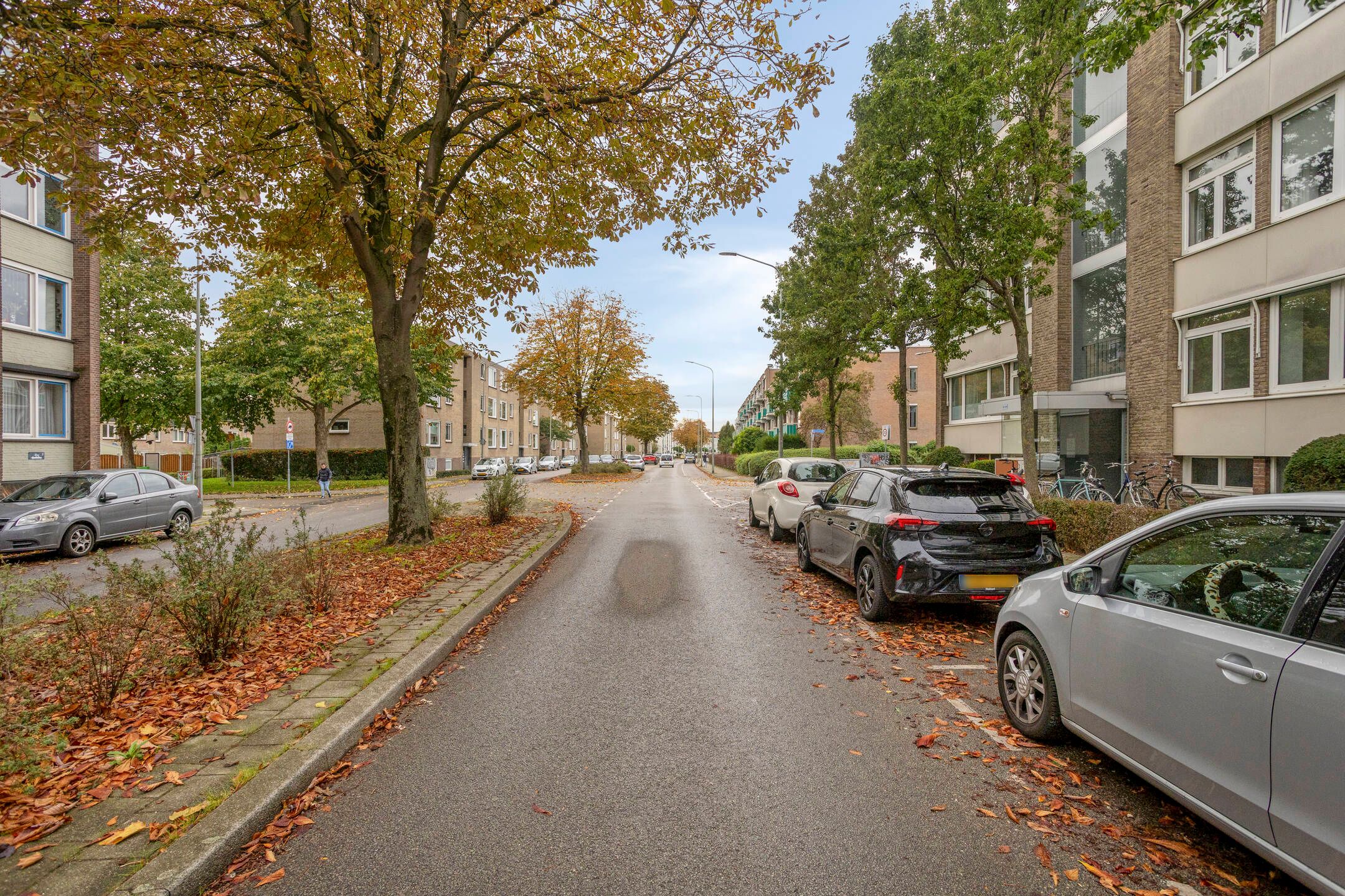 Photo 24 of Adelbert van Scharnlaan E 37