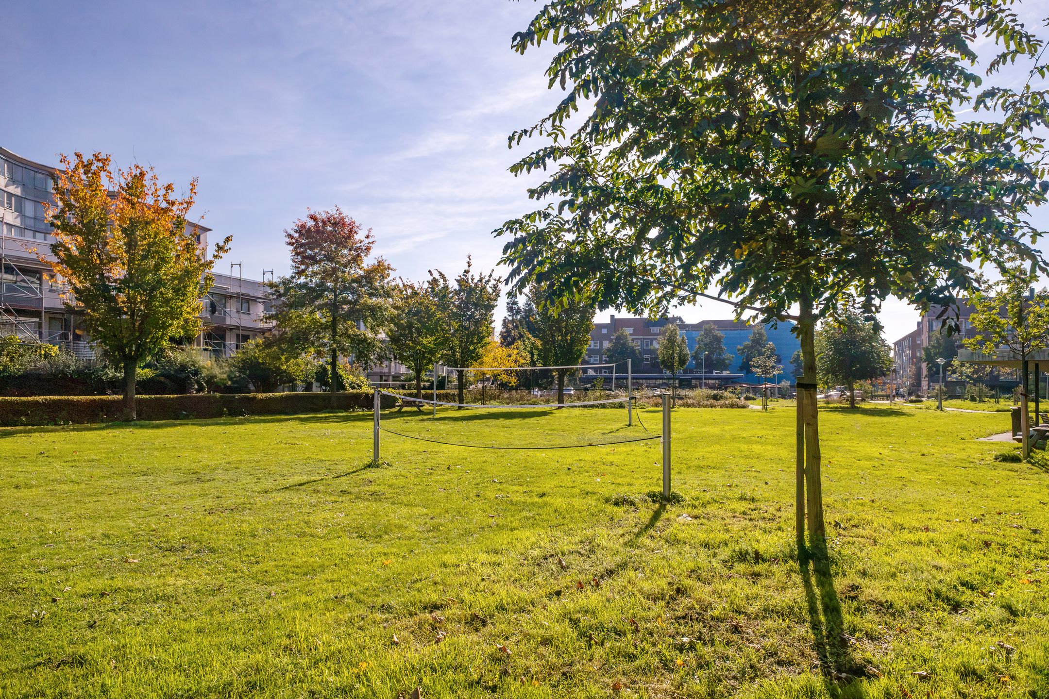 Photo 27 of Bos en Lommerplantsoen 19-E
