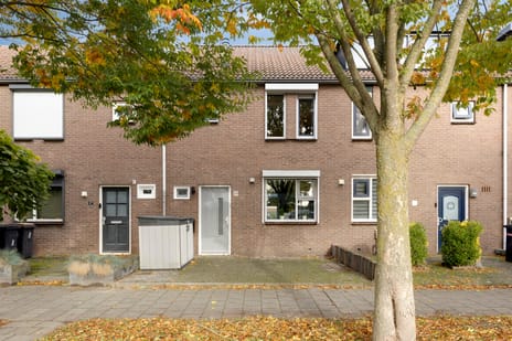 Spotvogelstraat thumbnail