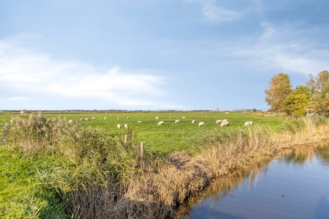 Photo 46 of Hoogegeest 19