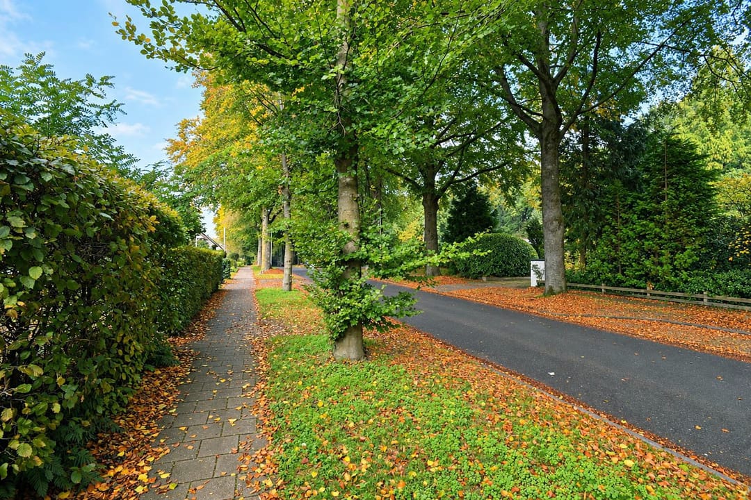 Foto 43 van Kerklaan 14