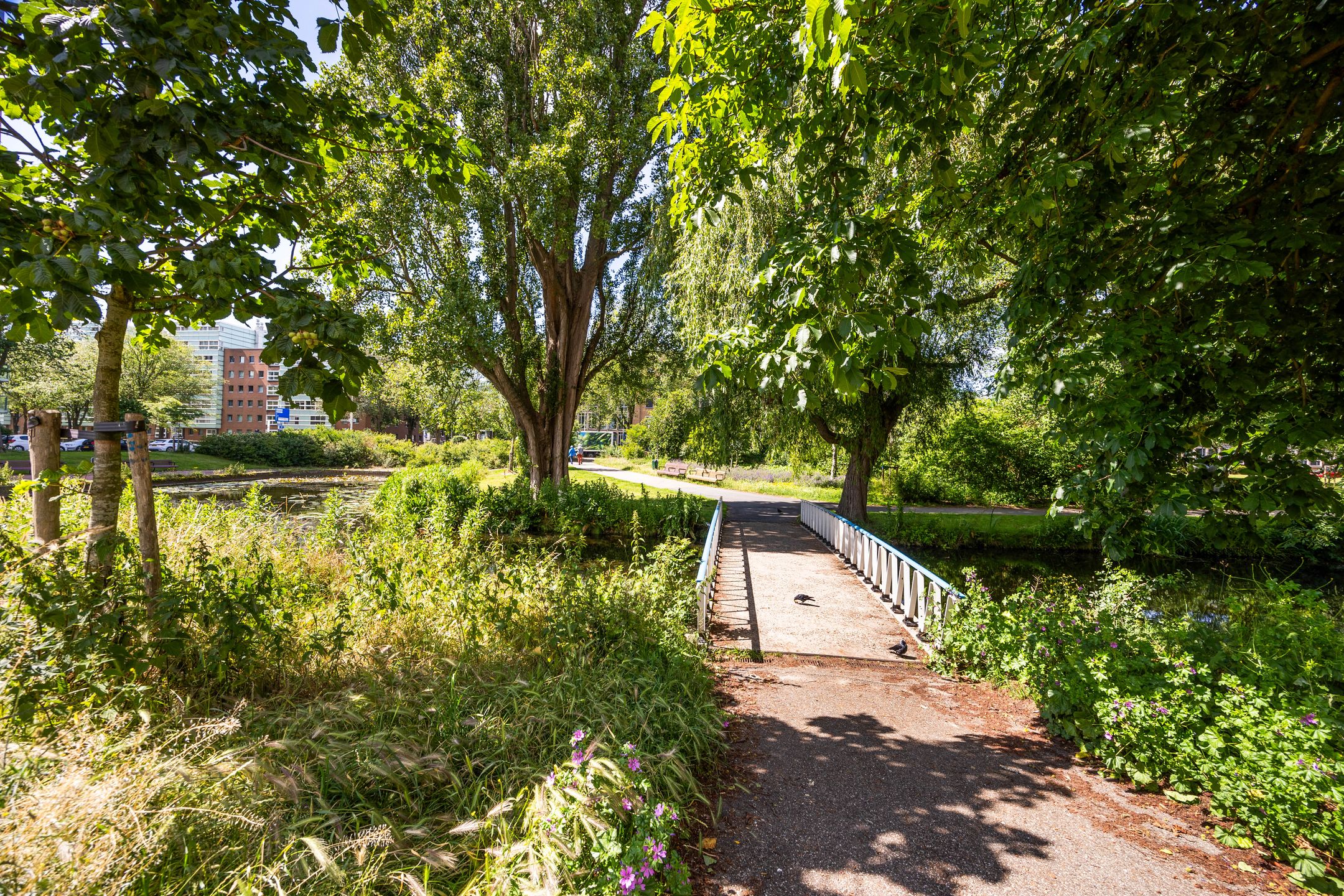 Foto 42 van Stadhoudersplantsoen 196