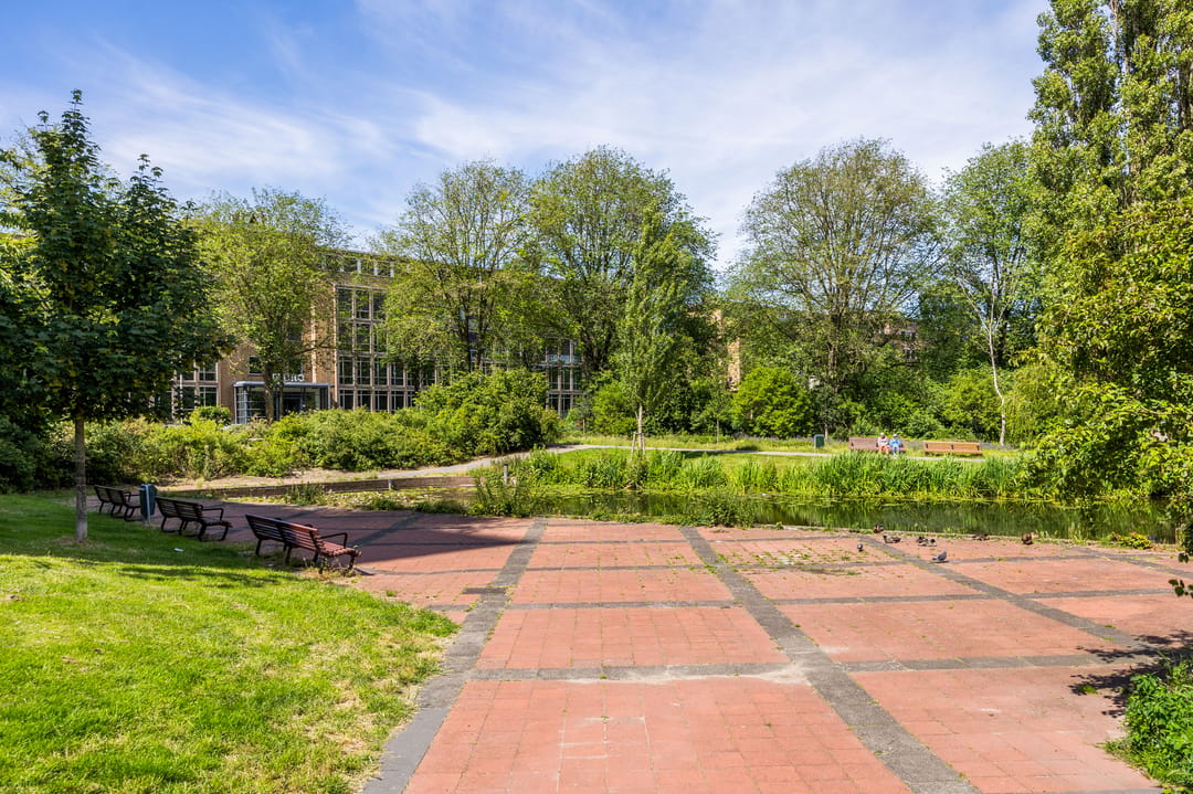 Foto 43 van Stadhoudersplantsoen 196