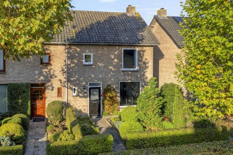 Gladioluslaan thumbnail