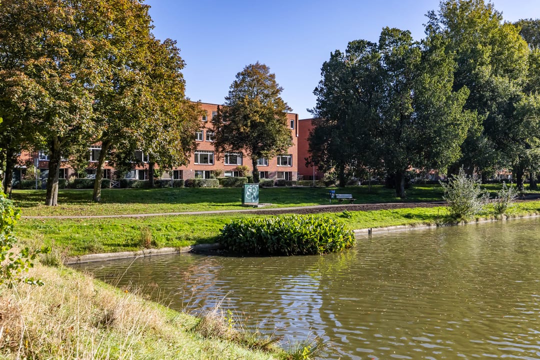 Photo 8 of Pioenstraat 191