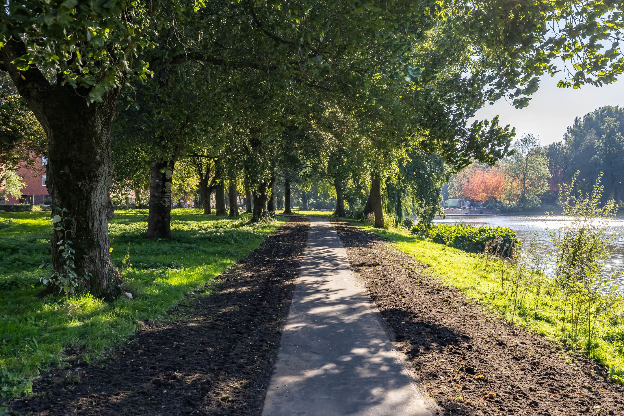 Photo 9 of Pioenstraat 191
