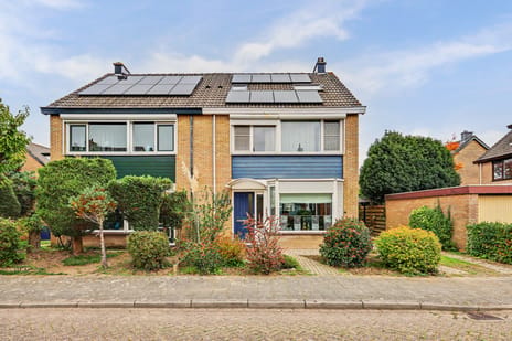 Ribesstraat thumbnail