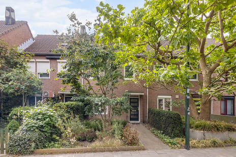 Strijpsestraat thumbnail