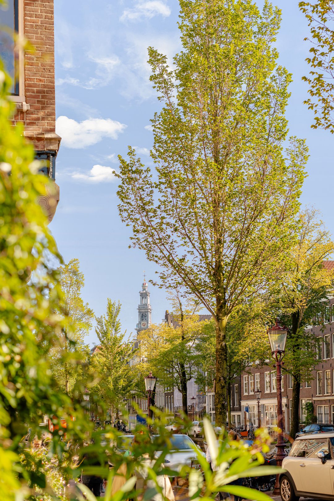 Photo 8 of Bloemgracht 300