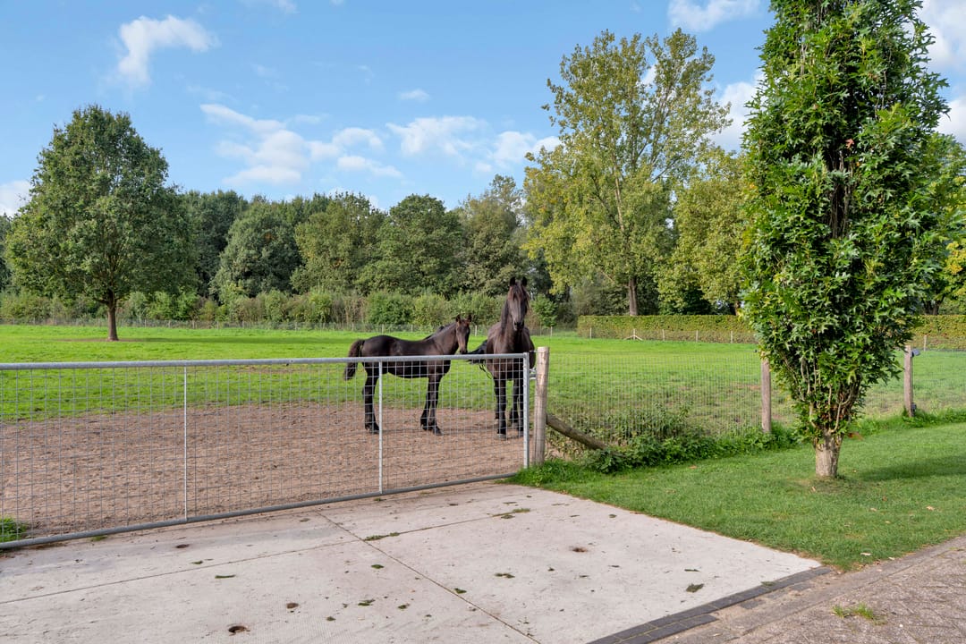 Photo 56 of Liempdsedijk 6