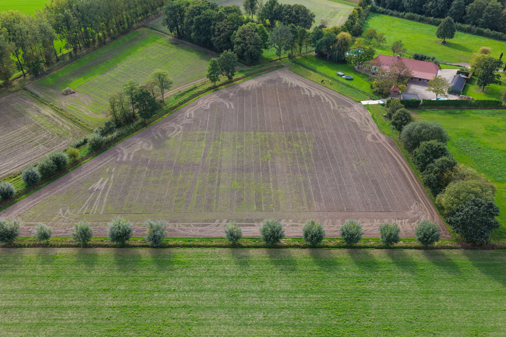 Photo 54 of Liempdsedijk 6