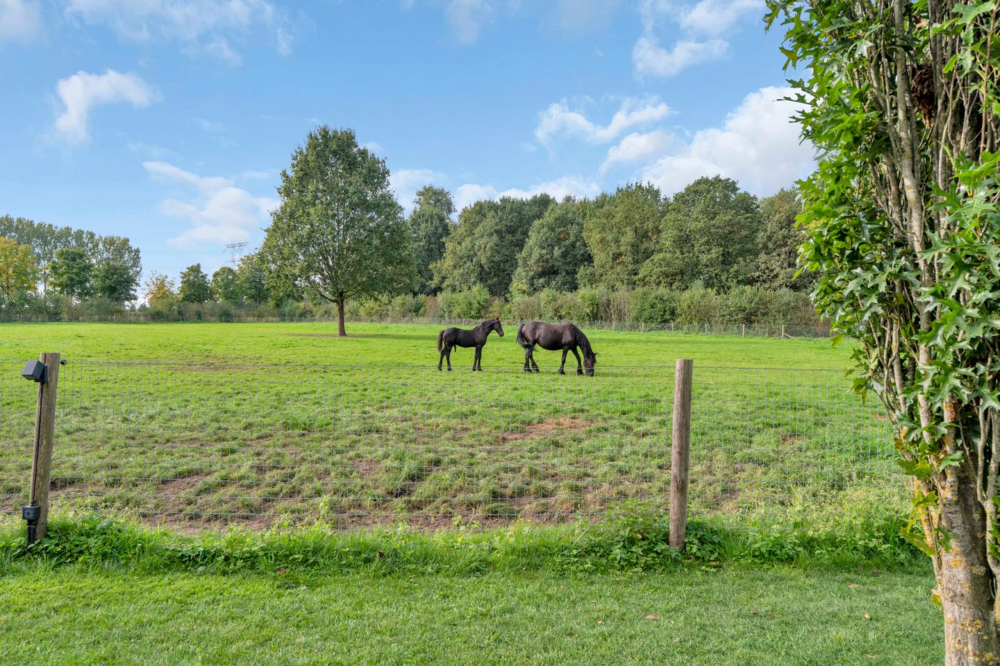 Photo 55 of Liempdsedijk 6
