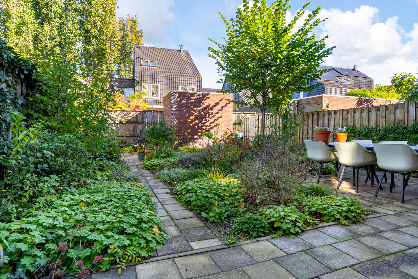 Photo 19 of Zenegroen 54