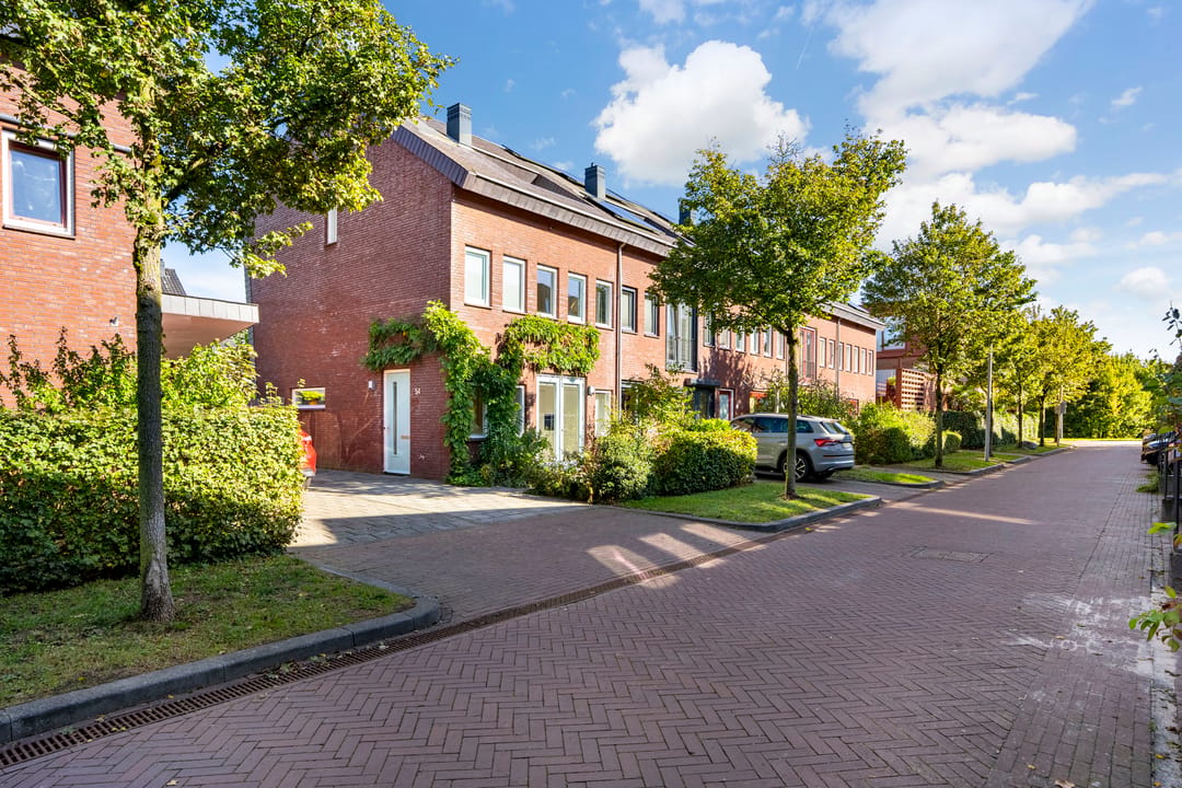 Photo 43 of Zenegroen 54