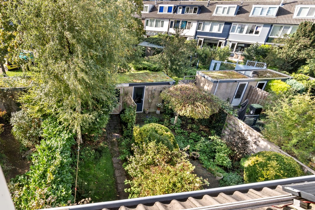 Foto 47 van Teunisbloem 4