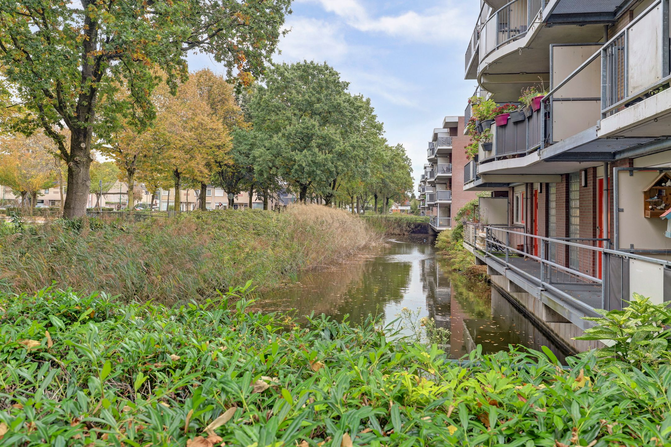 Foto 45 van Veldmuislaan 11