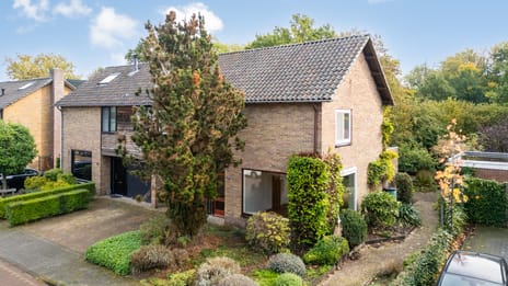 de Jongstraat thumbnail