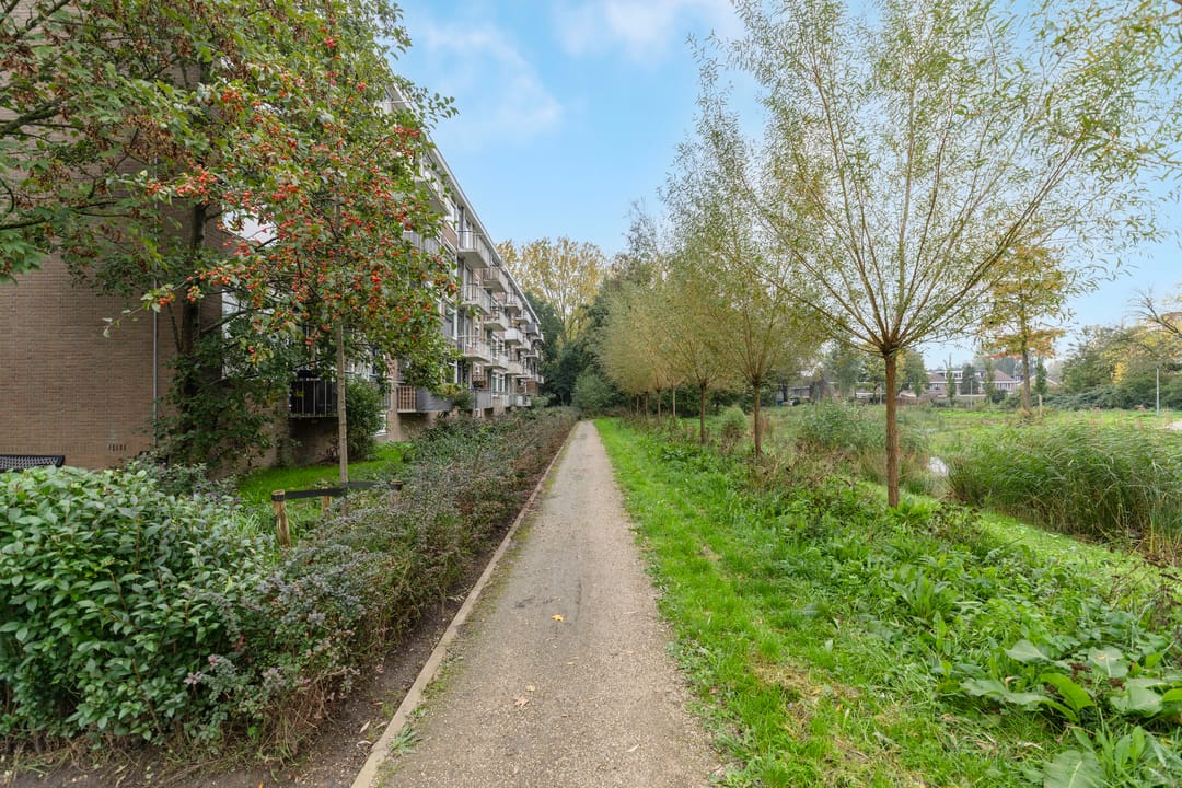 Photo 22 of Quadenoord 228