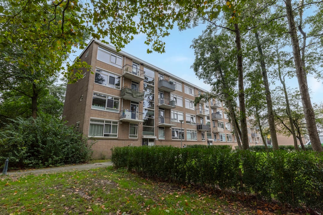 Photo 1 of Quadenoord 228