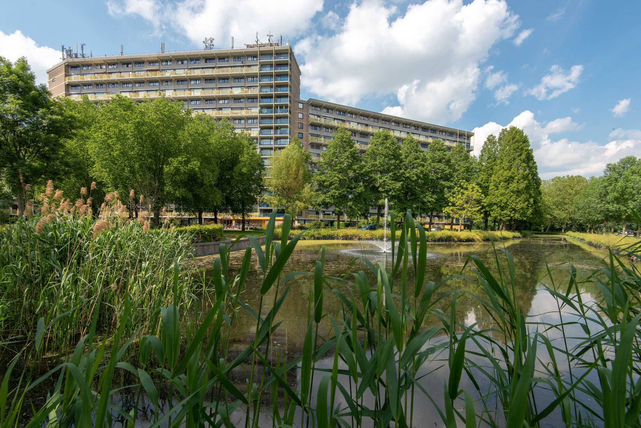Photo 9 of Dokter van Stratenweg 460