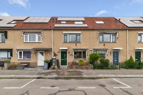 van Borsselestraat thumbnail