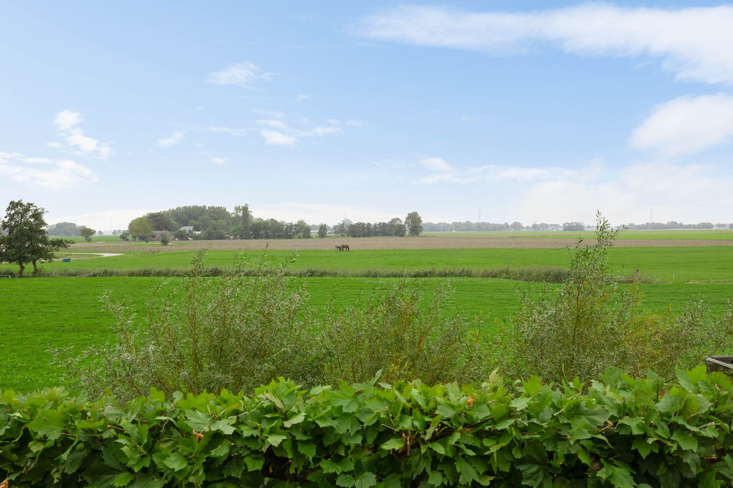 Photo 34 of Luingaweg 34
