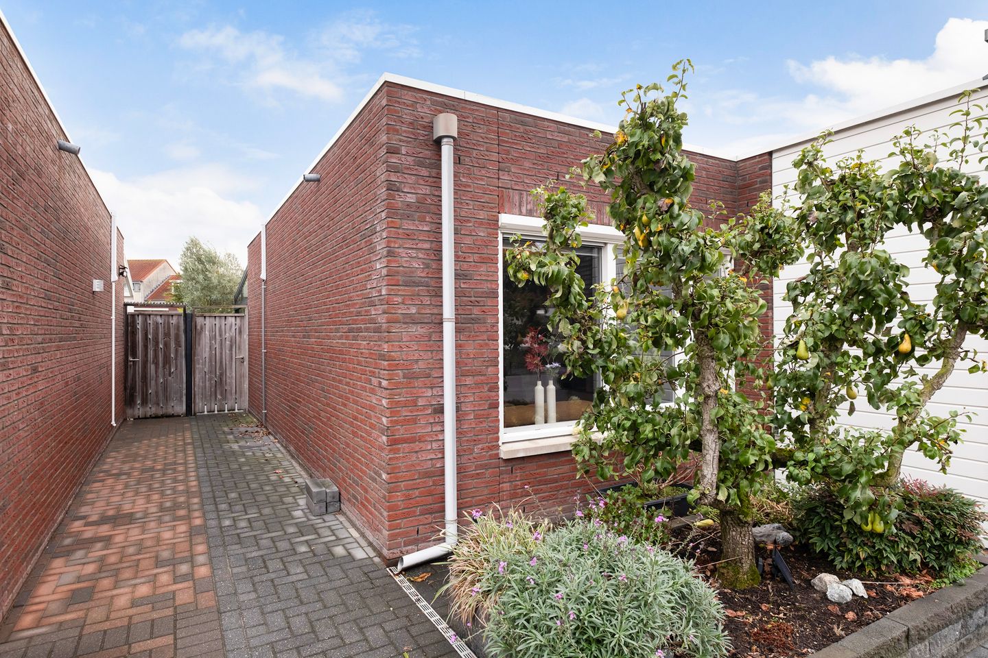Foto 29 van Aambeeld 12