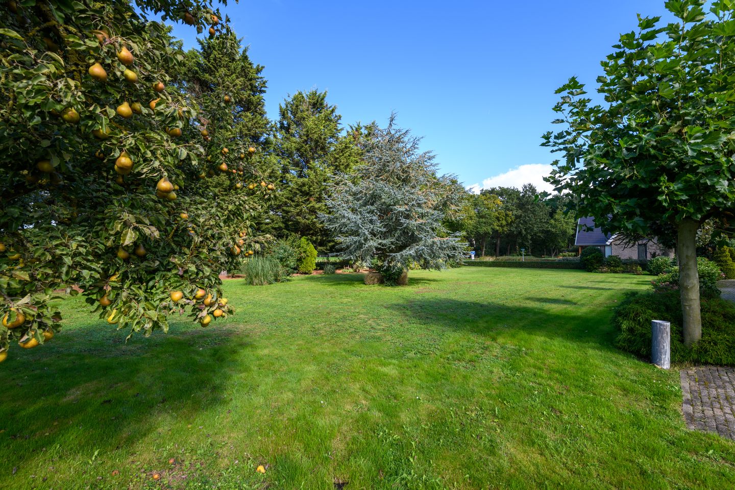 Photo 5 of Heirweg 53