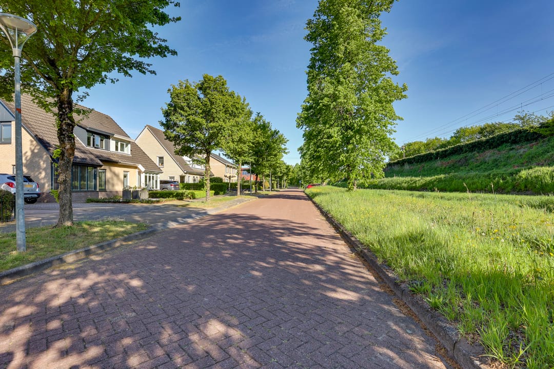 Photo 41 of Berg en Bos 19