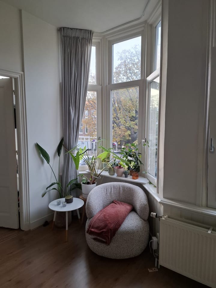 Foto 4 van Laan van Meerdervoort 462-A