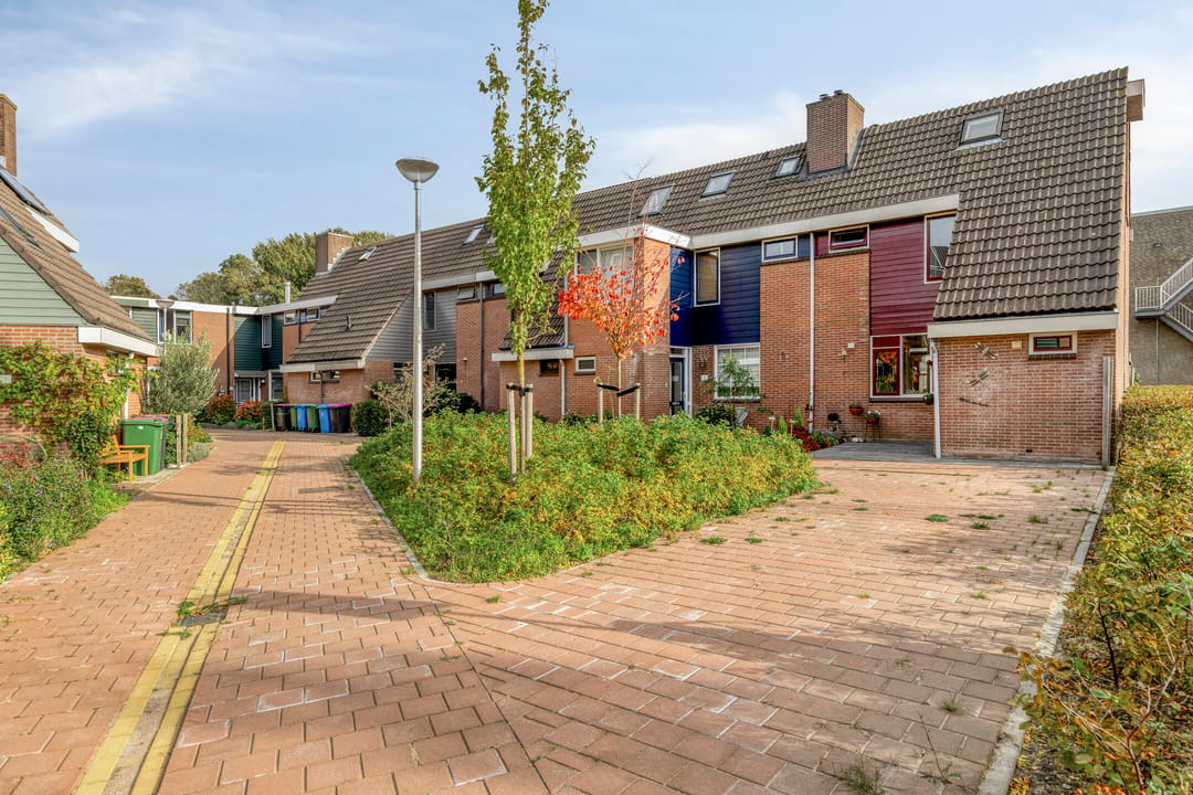 Foto 1 van Hunze 2