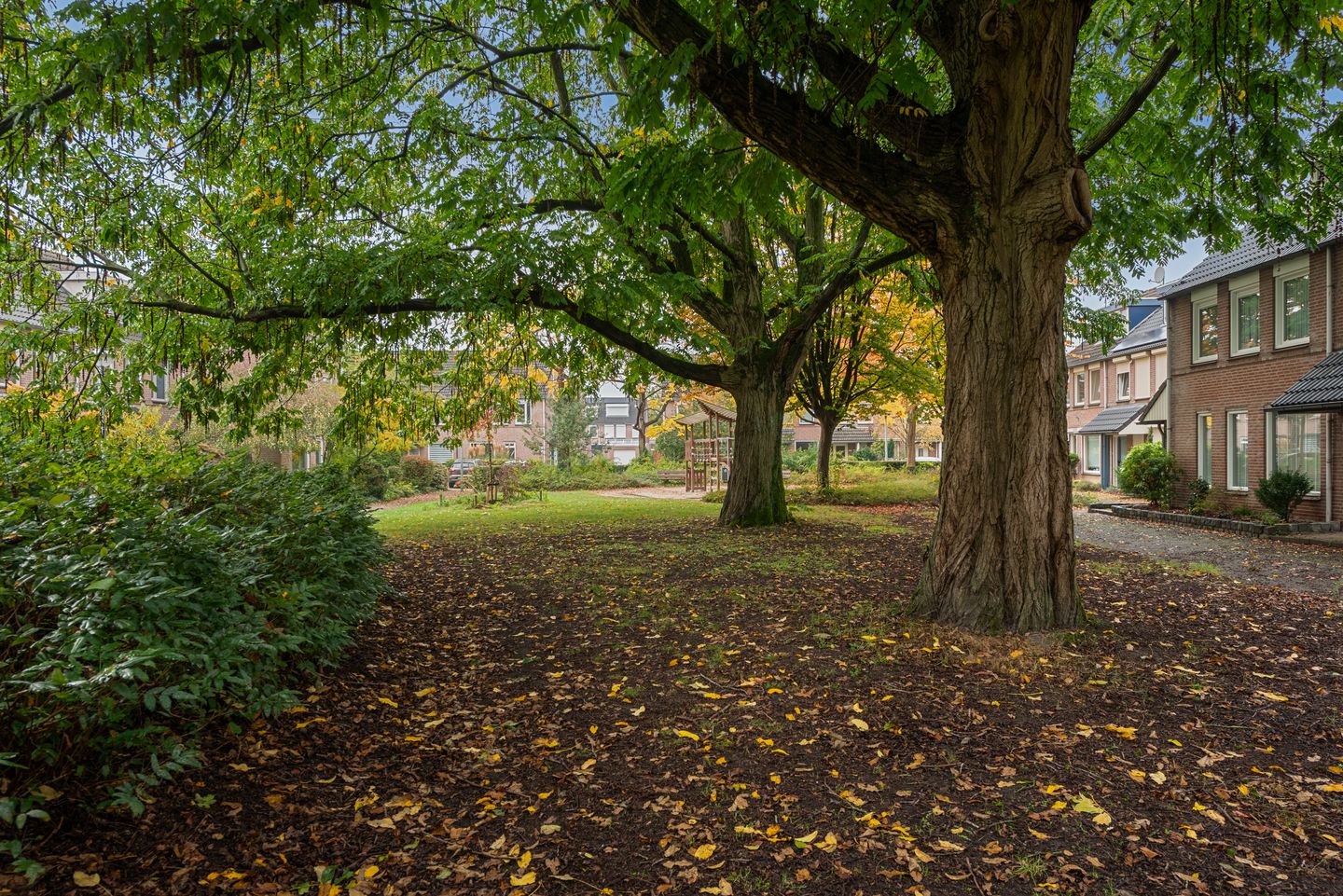 Photo 64 of Lisieuxhof 16