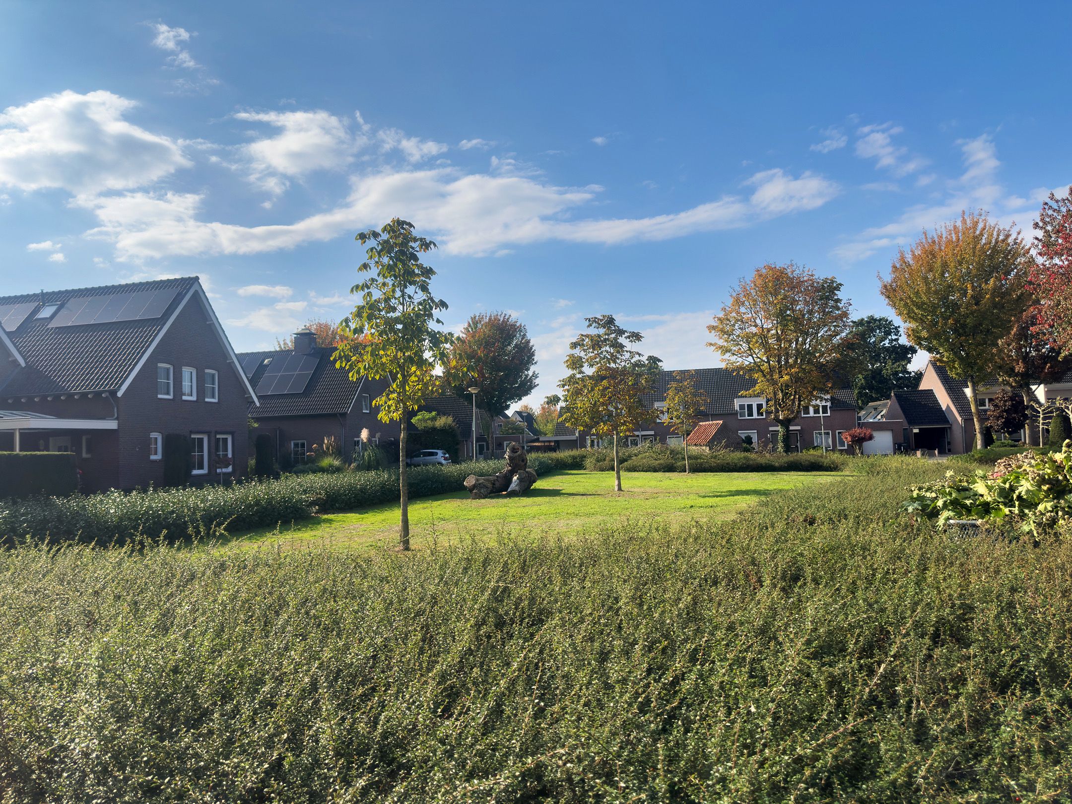Photo 48 of Bakhuuske 10