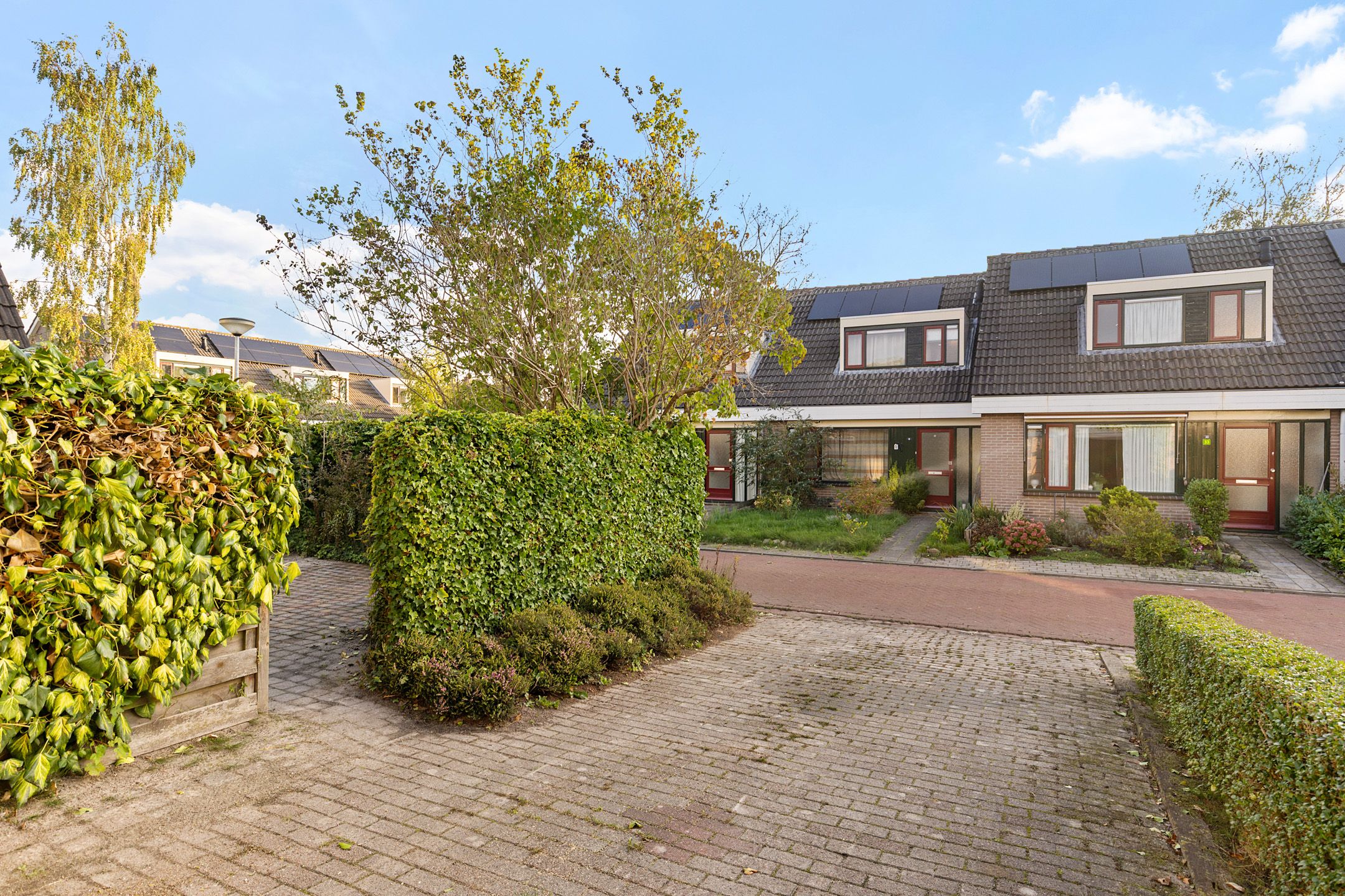 Foto 42 van Prunuslaan 6