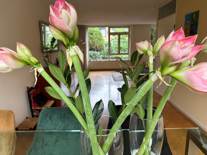 Foto 4 van Rozentuin 59
