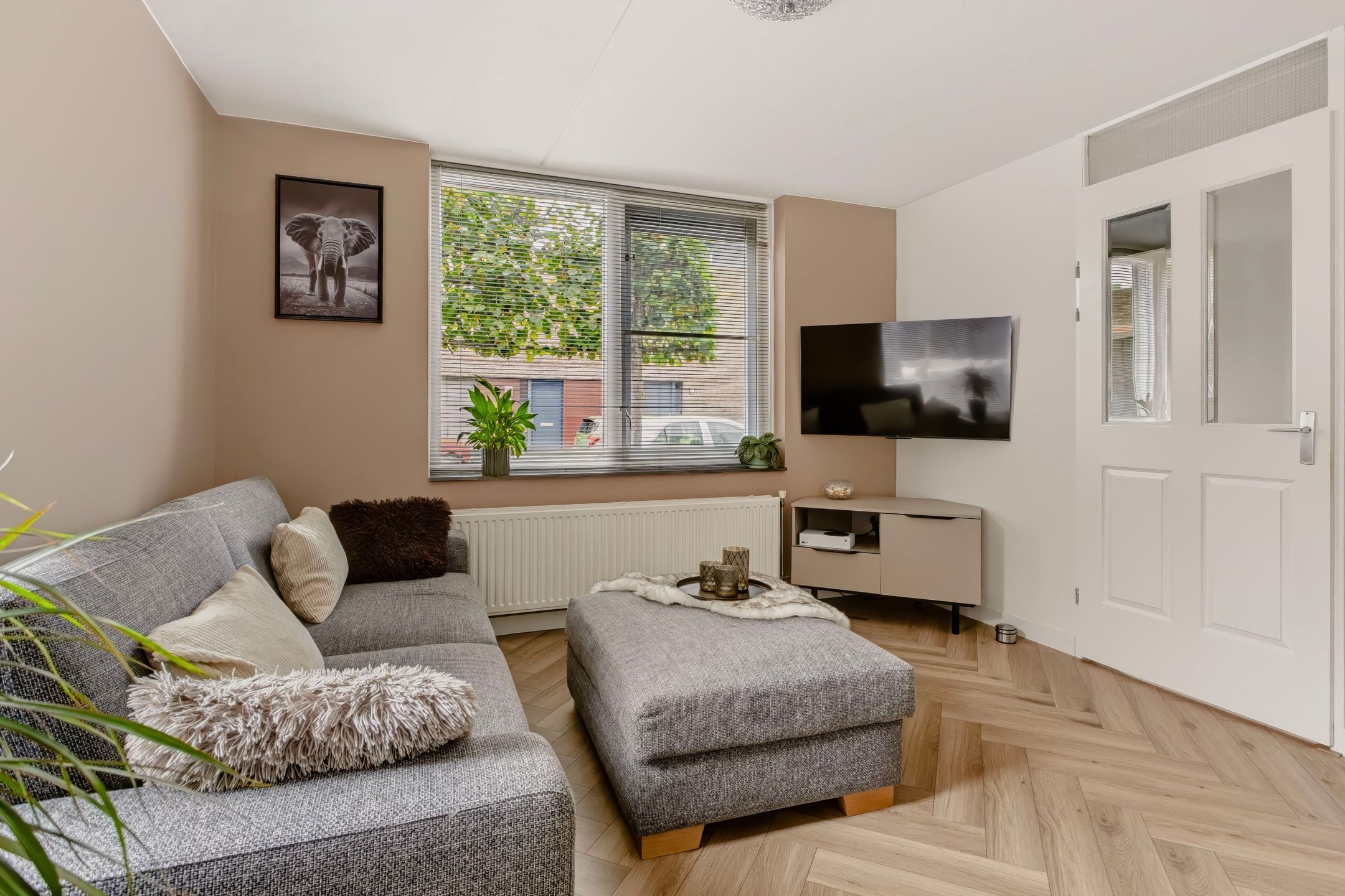 Photo 6 of Zevenblad 7