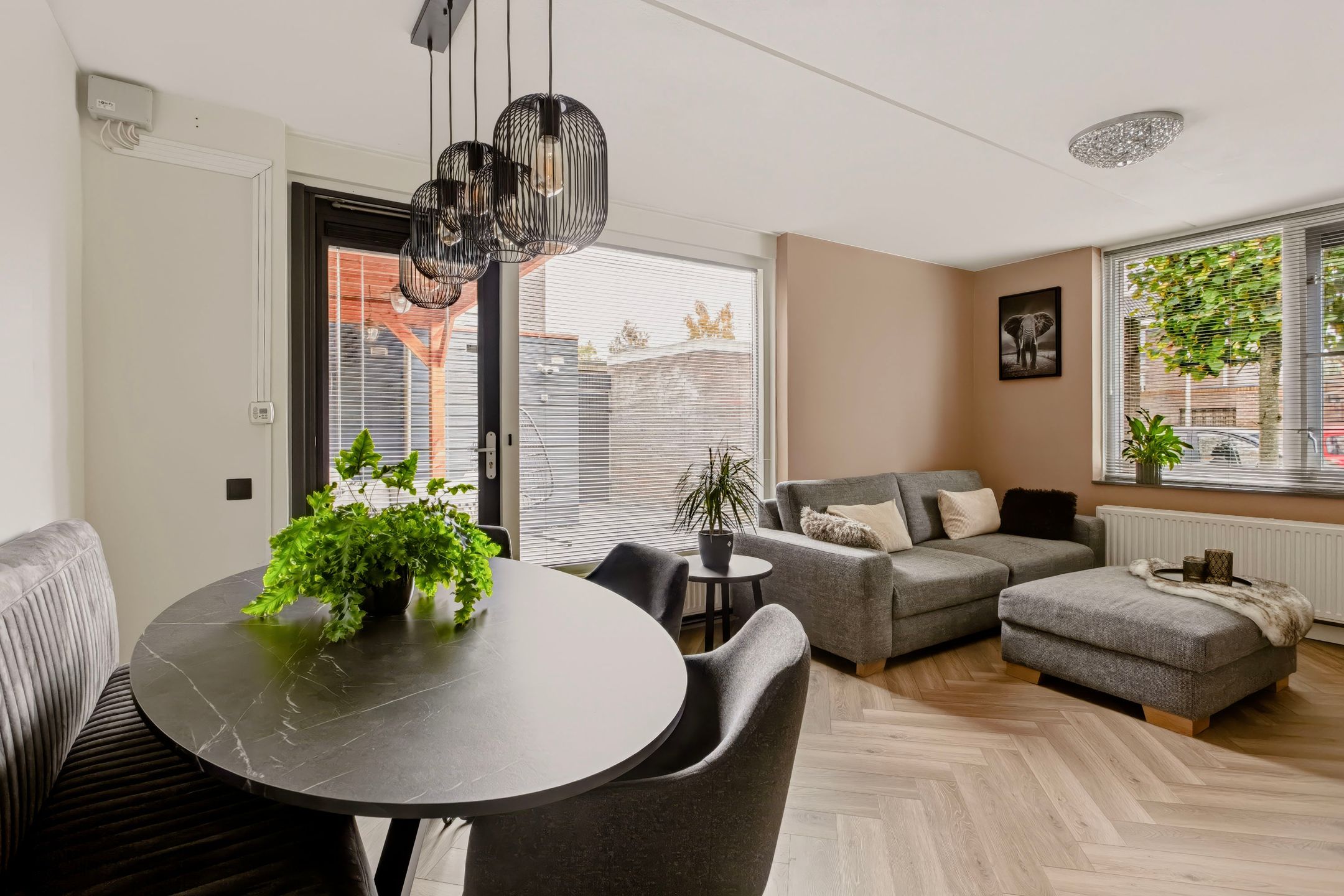 Photo 9 of Zevenblad 7