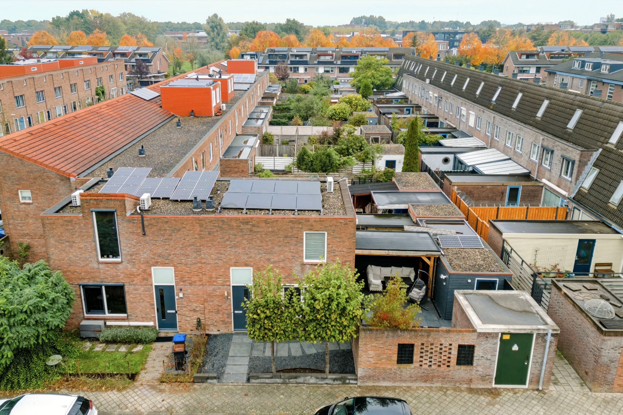 Photo 42 of Zevenblad 7