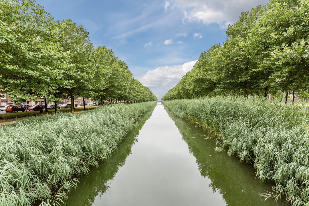 Photo 46 of Zevenblad 7