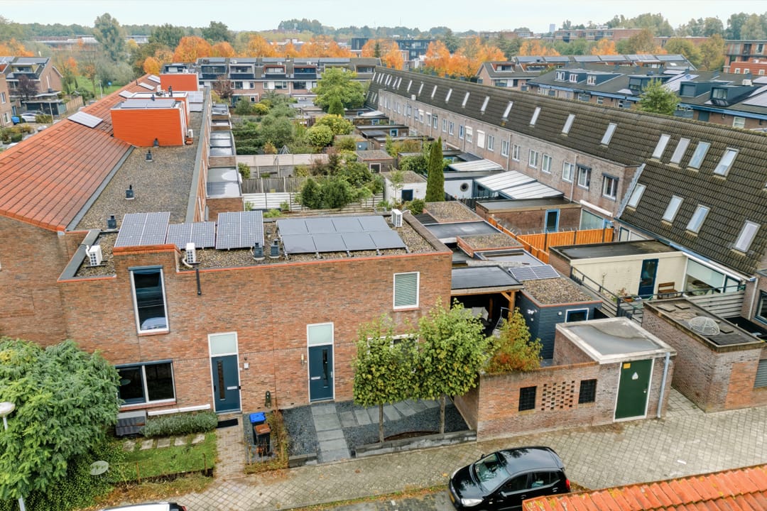 Photo 41 of Zevenblad 7