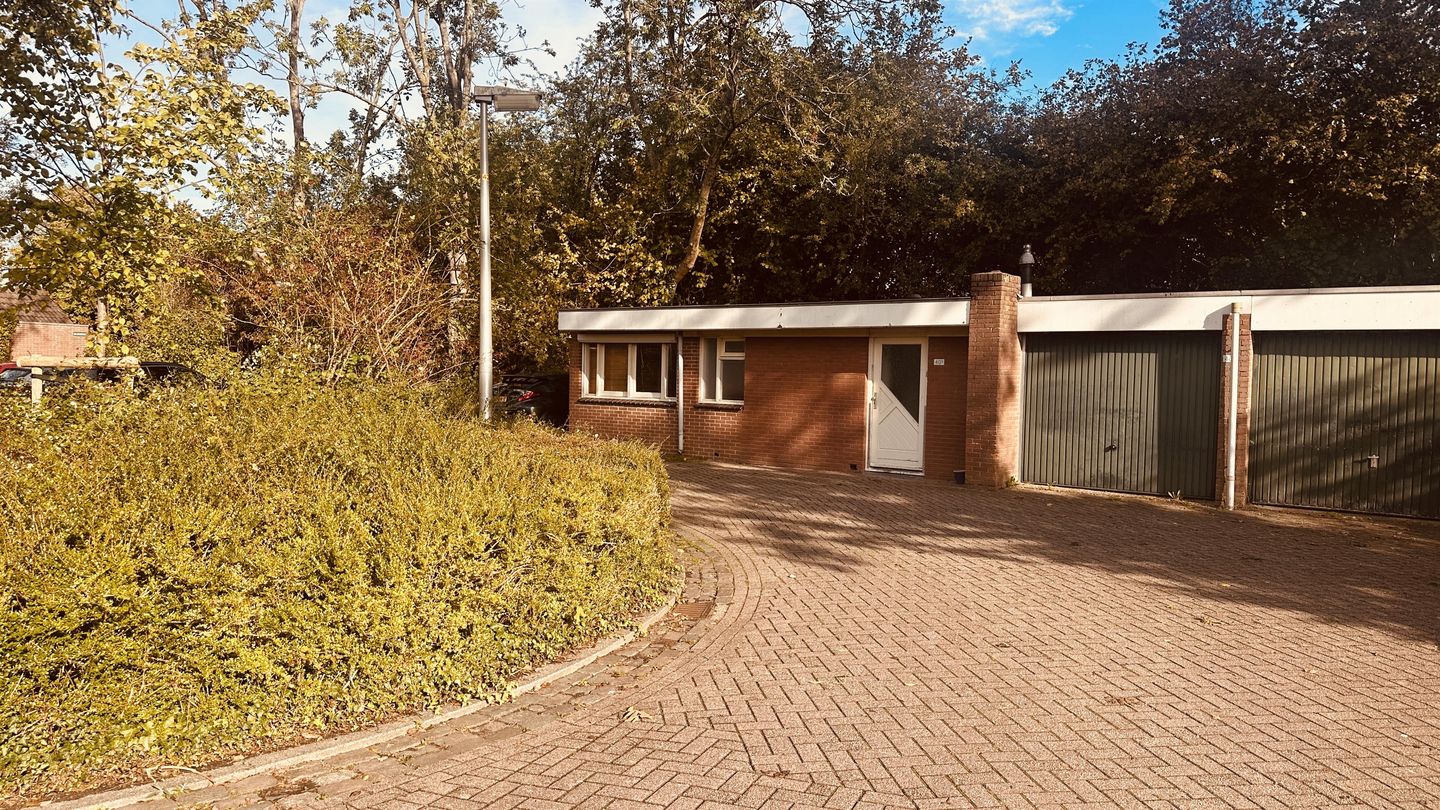 Bekijk foto 2 van Wilgenroos 40-C