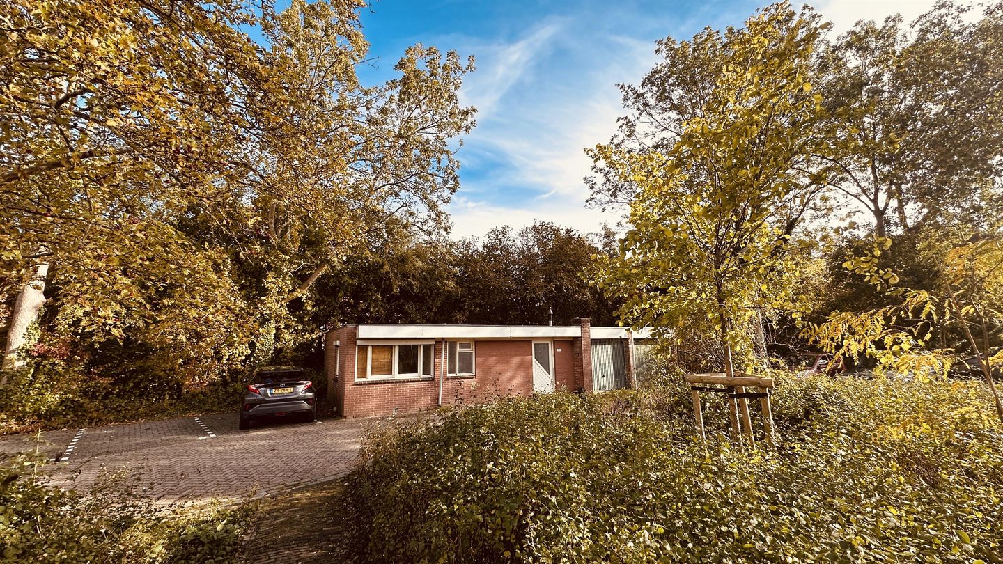 Bekijk foto 5 van Wilgenroos 40-C