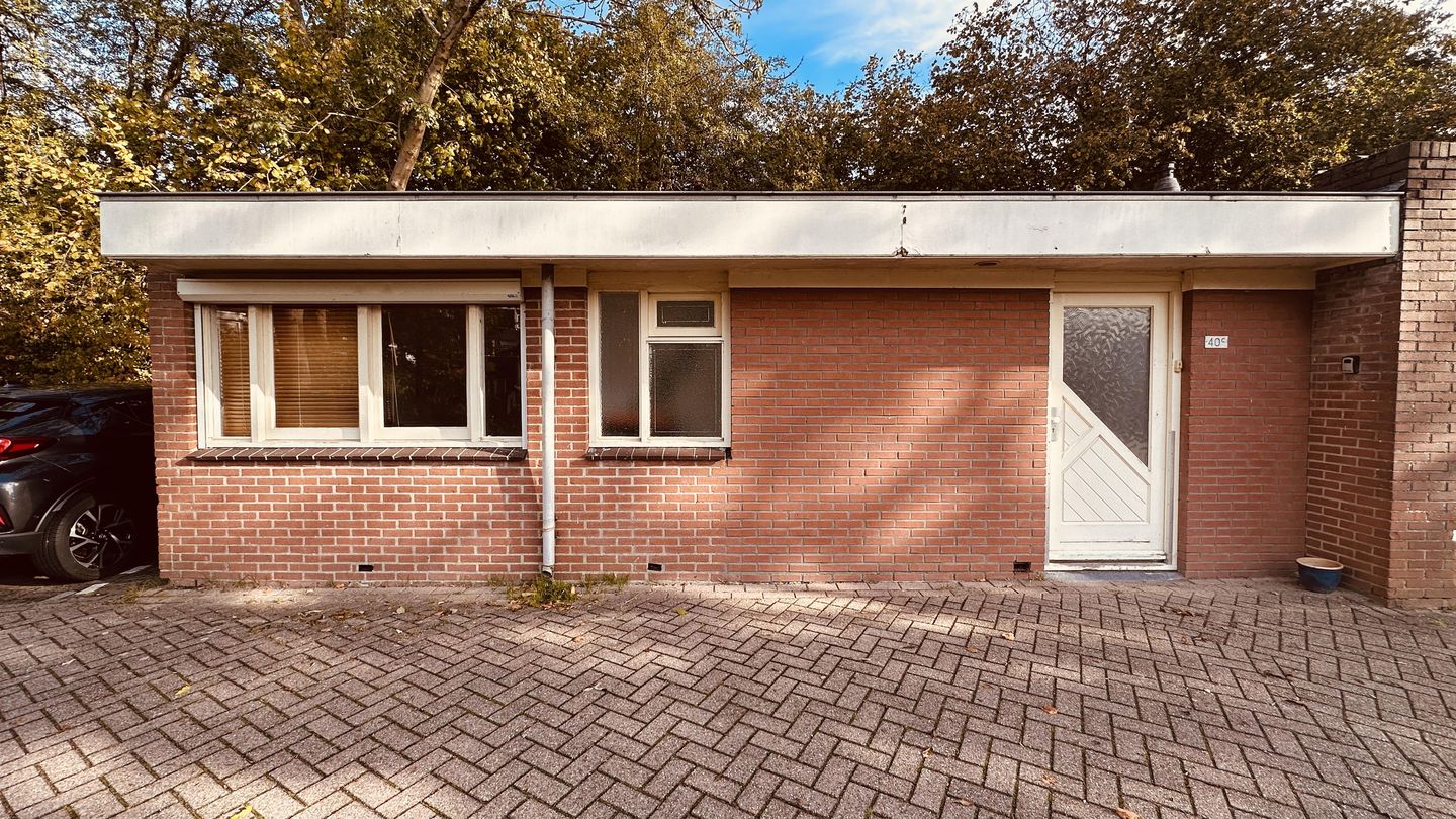 Bekijk foto 1 van Wilgenroos 40-C