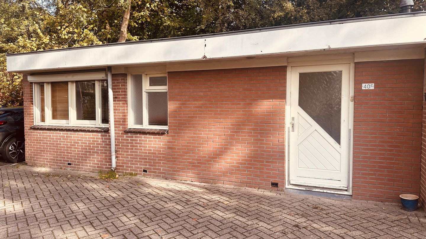 Bekijk foto 3 van Wilgenroos 40-C