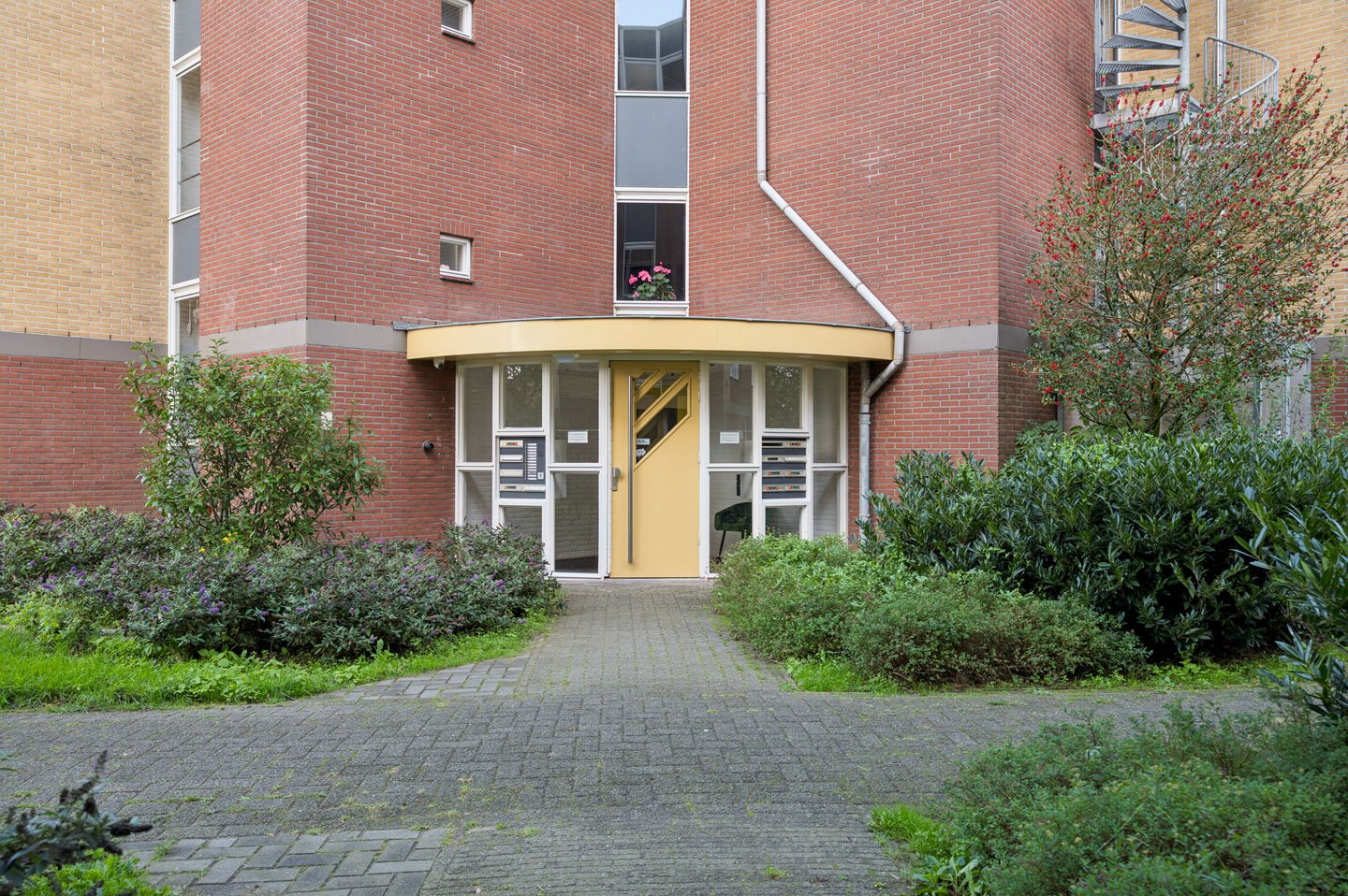 Photo 34 of De Bongerd 6