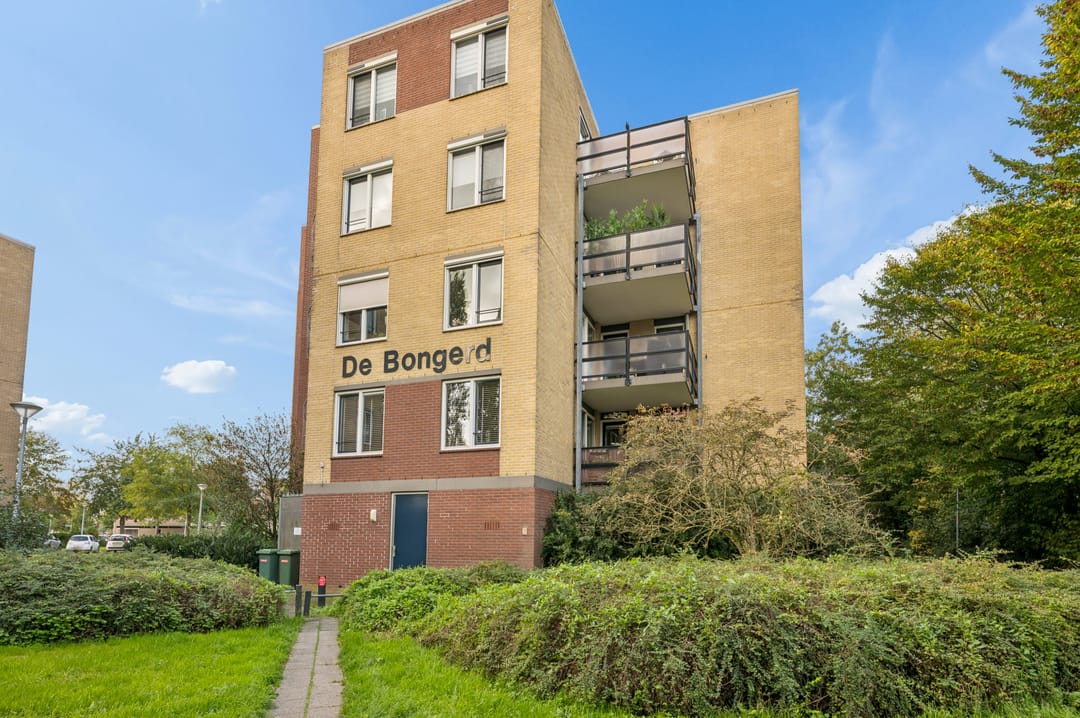 Photo 32 of De Bongerd 6