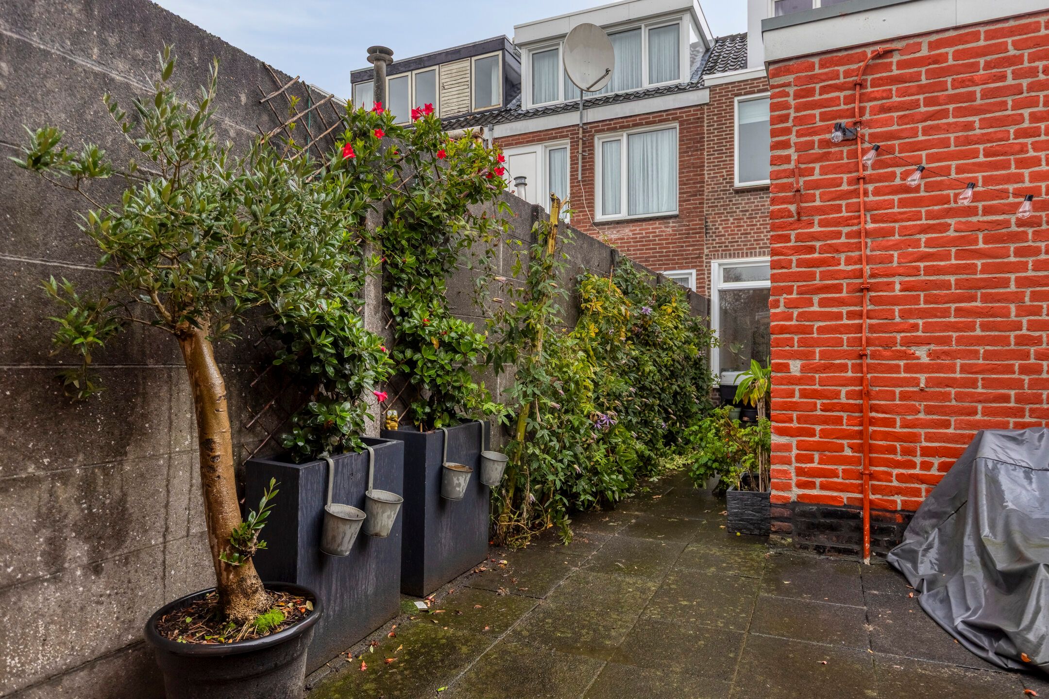 Photo 54 of Watertorenstraat 64