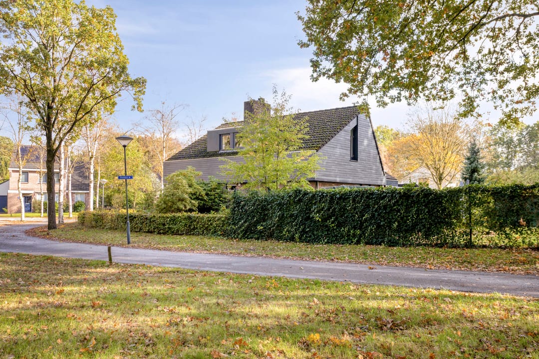 Photo 56 of Bosbes 2